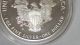 Coinhunters - 1991 - S Proof American Silver Eagle And Silver photo 7