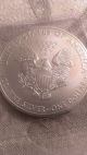 2014 American Eagle Liberty Usa 1 Troy Oz 999 Silver Bullion Htf Brilliant Silver photo 1