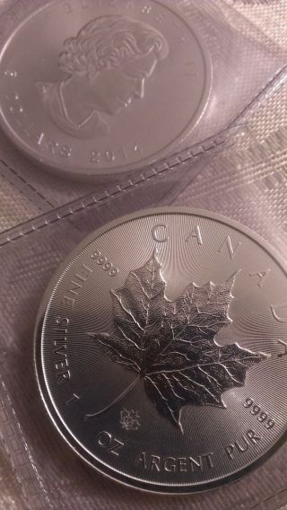 2 Two 2014 1 Troy Oz Canadian Maple Leaf Bullion Coin 9999 Pure Silver photo