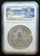 Bu Ms69 2002 American Silver Eagle.  999 Silver 1 Oz Bullion Coin Low Mintage Silver photo 1