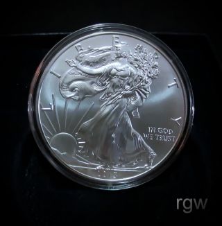 2013 American Eagle Silver Dollar Mpl Direct Fm W Lustrous Encapsulated photo