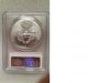 2011 (w) Struck At West Point 1oz Silver American Eagle Coin Pcgs Ms70 - Spotting Silver photo 1