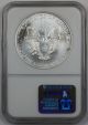 2002 American Silver Eagle,  Ngc Ms - 69,  Gem Ase Coin A. Silver photo 1
