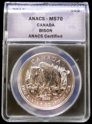 2013 Canada Wildlife Series Bison Silver $5 Anacs Ms - 70 1 Oz.  Fine Silver photo
