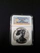 2013 W Silver West Point Star American Eagle Reverse First Releases Ngc Pf69 Silver photo 2