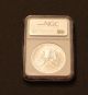 1991 $1 American Eagle.  999 1oz Silver Dollar Ngc Ms69 Silver photo 1