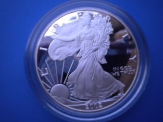 2002 American Silver Eagle Proof 1oz.  Fine Silver Bullion With photo