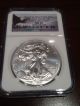 2013 (w) Ngc Ms - 69 American Silver Eagle Early Releases Struck At West Point Silver photo 2