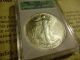 1986 Silver Eagle Graded Ms70 W/ Certificate Of Authenticity (no Toning) Ngcs Silver photo 8