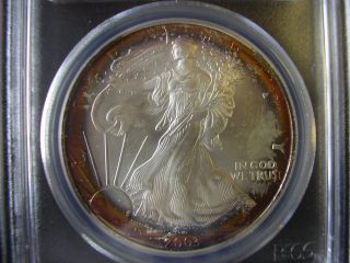 2003 Toned American Silver Eagle Pcgs Ms65 Old Pci Holder Target Bullseye photo