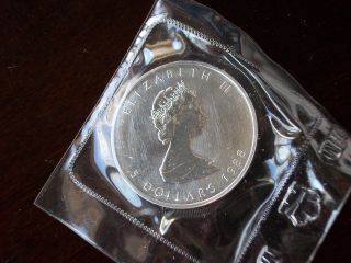 Rare,  1988 Canadian Maple Leaf,  $5 Five Dollar 1 Oz Fine.  999 Silver Coin photo