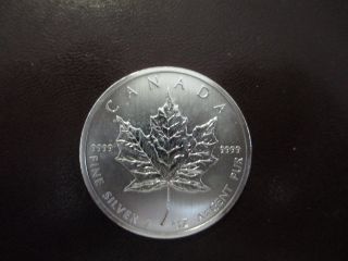 2012 $5 Dollar Canadian Maple Leaf.  9999 Silver Round Unc photo