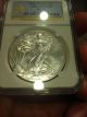 2012 W Silver Eagle Ngc Ms70 Early Releases Burnished No Spots Silver photo 6
