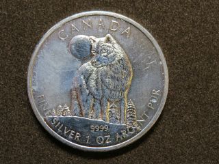 2011 1 Oz Wolf Silver Maple Leaf Coin $5 Canadian Wildlife Canada 9999 photo