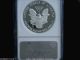 2007 W Eagle S$1 Ngc Pf 69 Ultra Cameo 1oz American Silver Coin Silver photo 1