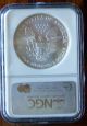 2001 American Silver Eagle Dollar Coin (ngc Graded State 69) Silver photo 1