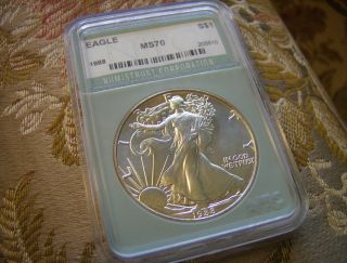 1 - 1988 American Silver Eagle - Ntc - Gem - Unc.  - Premium Quality Piece photo