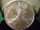 2014 American Silver Eagle Dollar Coin Silver photo 1