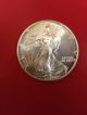 1989 Silver Eagle Silver photo 1