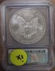2004 - P U.  S.  Silver American Eagle Icg Graded Ms69 1 Oz Silver Coin Nr Silver photo 1