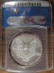 2006 Us Silver American Eagle Anacs Graded Ms69 First Strike Blue Rim Toned Nr Silver photo 1