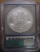 2006 - P U.  S.  Silver American Eagle Icg Graded Ms69 1 Oz Silver Coin Nr Silver photo 1