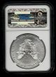 2013 American Silver Eagle - Flag Label - Ngc Ms 69 - 1 Oz.  999 Silver Silver photo 1