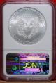 2010 Silver American Eagle Dollar Graded Ms69 By Ngc S/h Silver photo 1