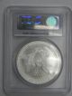 2005 S$1 Silver Eagle Ms69 Pcgs Certified Silver photo 1