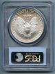 2003 American Silver Eagle Dollar - - Pcgs Ms 70 - - In Usa Silver photo 1