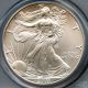 2003 American Silver Eagle Dollar - - Pcgs Ms 70 - - In Usa Silver photo 2