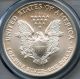 2003 American Silver Eagle Dollar - - Pcgs Ms 70 - - In Usa Silver photo 3