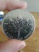 2013 1 Oz Silver Canadian Maple Leaf Silver photo 1