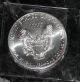 2013 American Silver Eagle 1oz Coin Gem Silver photo 1