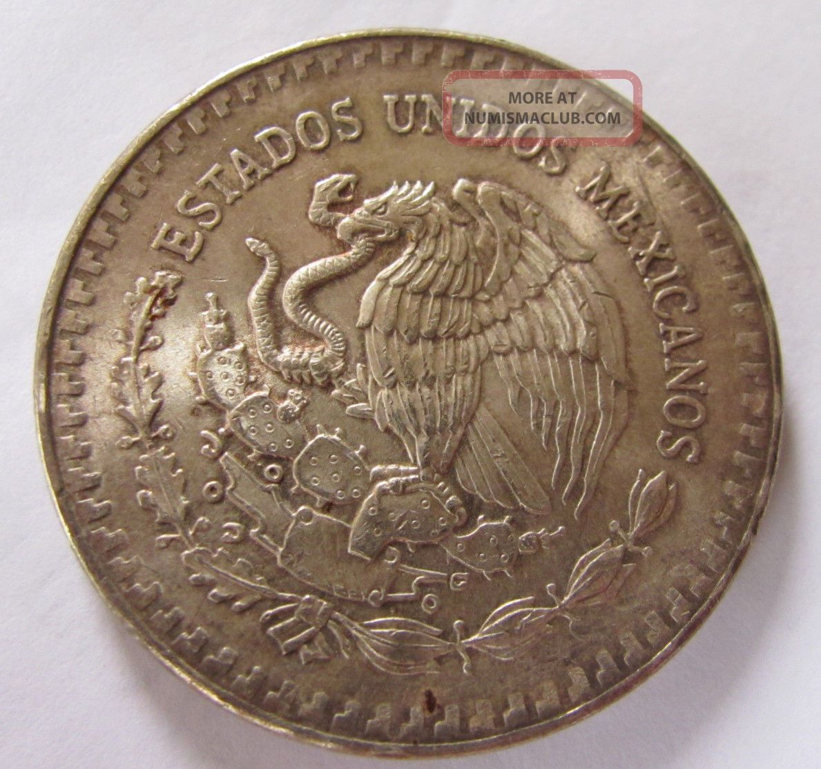 1984 mexican dollar coin
