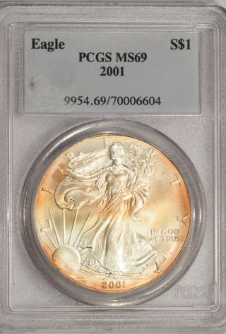 2001 Pcgs Ms69 Ase - Color Tone And Ultra Rare Holder photo