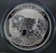 2014 - 1 Oz Australian Koala Perth Pcgs Ms 69 Fine Bullion Silver Coin Silver photo 2