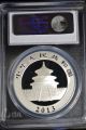 2013 Pcgs Ms70 China Silver 10y Panda,  People ' S Republic Of China Label Silver photo 8