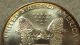 Coinhunters - 1995 American Silver Eagle - State - Toned Silver photo 3