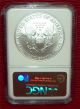 2007 W Silver American Eagle Ngc Ms 70 Early Releases Silver Eagle Burnished Silver photo 1