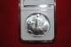 1992 American Silver Eagle Ngc Ms 69 Near Perfect Coin 1oz $1 Silver photo 3