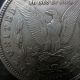 1921 - D Silver Morgan Dollar - 90% Silver U.  S.  Coinage - Dollars photo 7