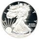 2008 - W Silver Eagle $1 Pcgs Proof 69 Dcam American Eagle Silver Dollar Ase Silver photo 2
