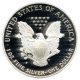 1998 - P Silver Eagle $1 Pcgs Proof 69 Dcam American Eagle Silver Dollar Ase Silver photo 3