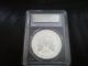 2005 - W $1 First Strike Silver Eagle Pcgs Proof 69 Deep Cameo Silver photo 1