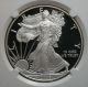 2008 W Silver American Eagle $1 Ngc Pf 70 Ultra Cameo Pr 70 1 Oz 99% Silver Silver photo 1