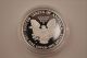 1990s Boxed American Silver Eagle (proof) Dollar Silver photo 9