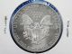 79 (qty) 2009 American Silver Eagle Walking Liberty Coin 1oz.  999 Silver photo 1