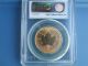 2005 $50 Canada Gold Maple Leaf.  99999 Experimental Issue Graded Ms69 By Pcgs Silver photo 3