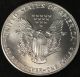 1991 American Silver Eagle Bullion Coin Key Date Choice Gem Bu Nr Silver photo 2